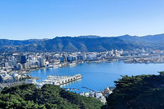 Wellington Movie Magic Private Tour - Analyzing the Price – Is It Worth It?