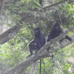 West Bali: Jungle Trekking in Bali Barat National Park - Why This Tour Offers Real Value