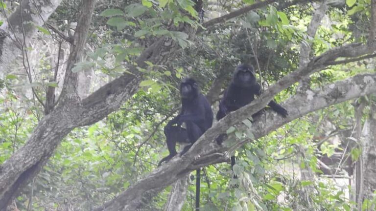 West Bali: Jungle Trekking in Bali Barat National Park - Why This Tour Offers Real Value