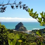 West Coast Wilderness Experience - Private Tour From Auckland - Practical Details and Traveler Tips