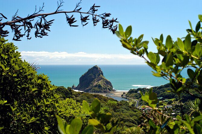 West Coast Wilderness Experience - Private Tour From Auckland - Practical Details and Traveler Tips