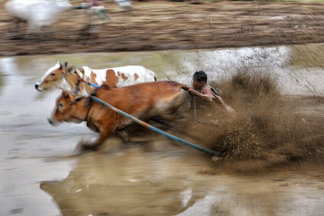 West Sumatra Private Tour from Padang By Private Car - FAQ