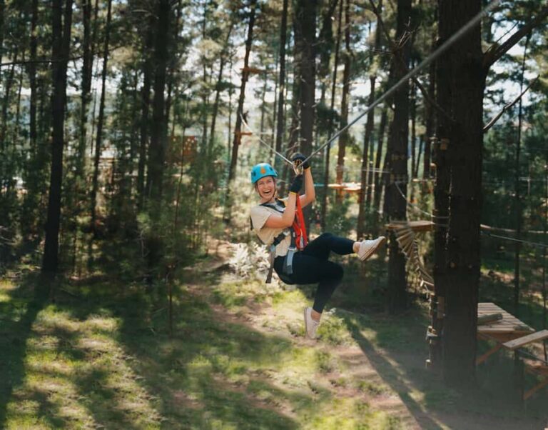Western Sydney: Tree Ropes Courses - Why This Tour Is Worth Considering