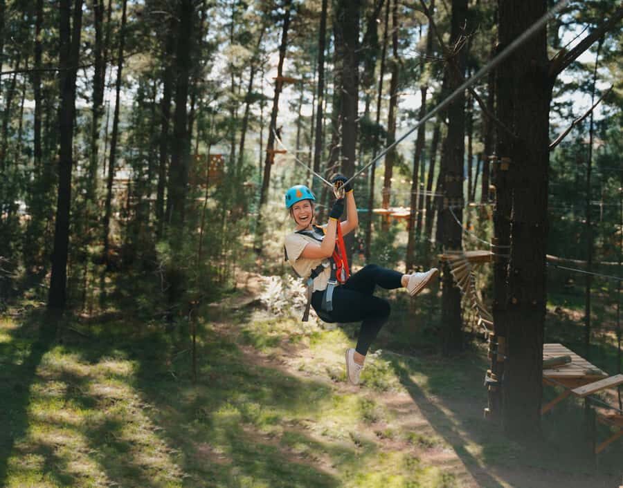 Western Sydney: Tree Ropes Courses - Why This Tour Is Worth Considering