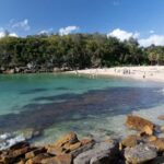 Wet & Dry Manly from Sydney - Why This Tour Offers Great Value