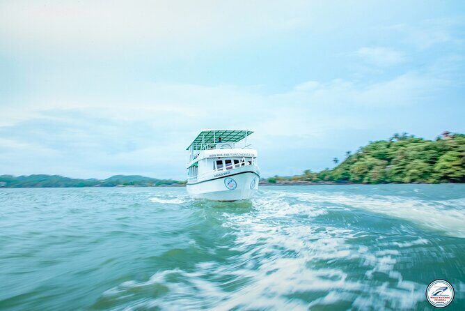 Whale Watching Mirissa in Sri Lanka with Pickup and Breakfast - Who Should Consider This Tour?