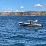 Whales of Sydney Sea Safari - Private - Itinerary Breakdown: What You Can Expect