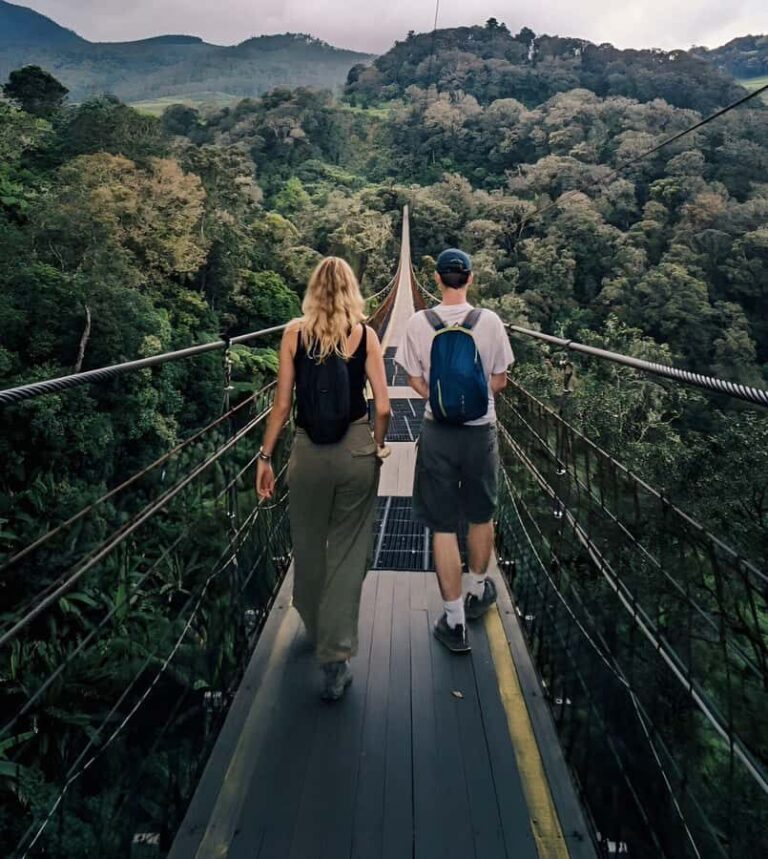 White Crater, Tea Field, Suspension Bridge & Hot Spring Tour - Transportation and Tour Logistics