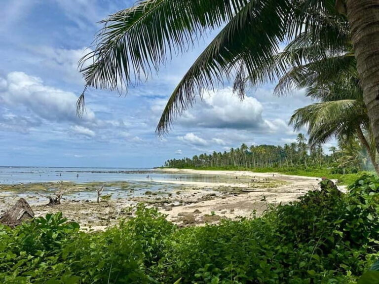 Whole Day North of Siargao Surfing Lessons - Who Should Consider This Tour?