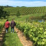 Wine Exposed Nelson Winery Tour - The Transportation and Overall Comfort