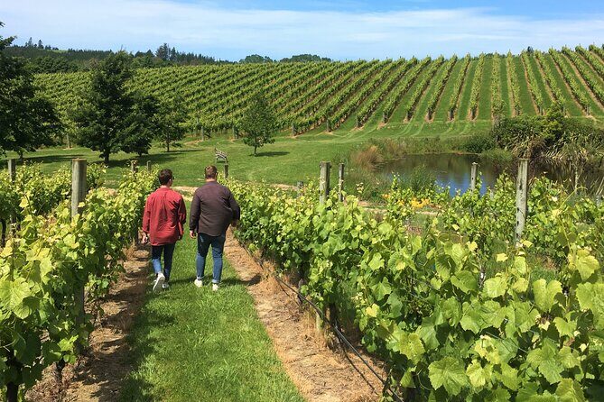 Wine Exposed Nelson Winery Tour - The Transportation and Overall Comfort