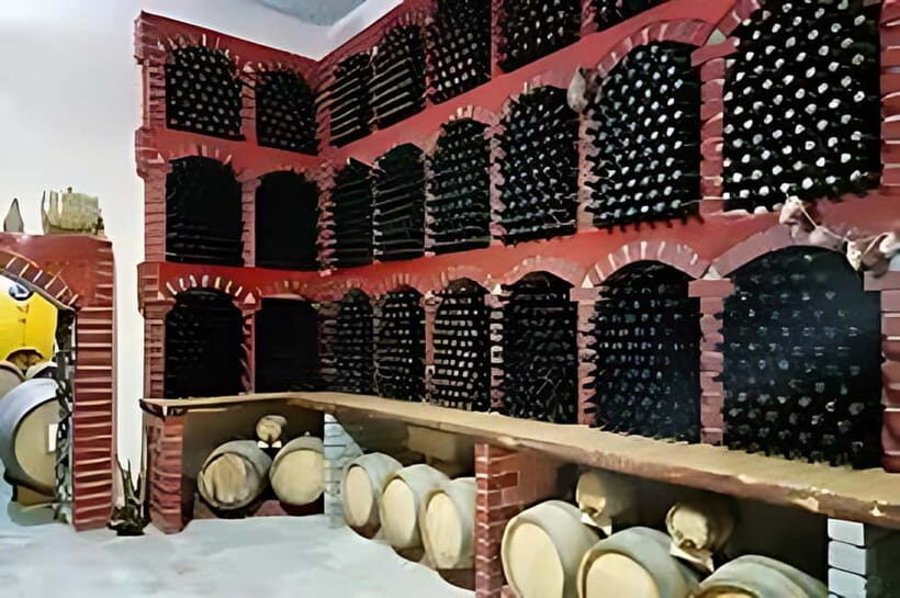 Wine tour in Samarkand (Baguizagan) English - Who Should Consider This Tour?