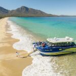 Wineglass Bay Shared Cruise and Walking Tour - Who Will Love This Tour?
