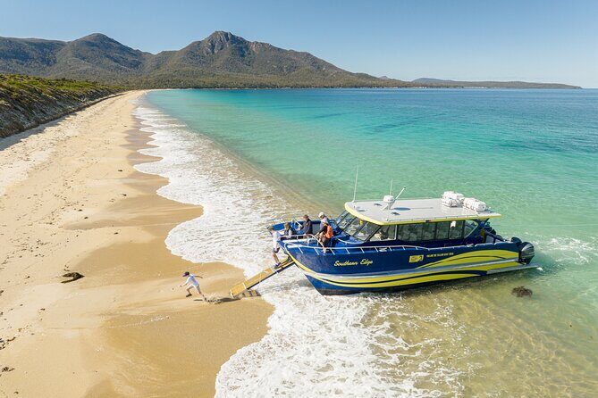 Wineglass Bay Shared Cruise and Walking Tour - Who Will Love This Tour?
