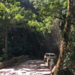 Wingfield Rainforest Hike St Kitts and Romney Manor Adventure - Value and Overall Impression