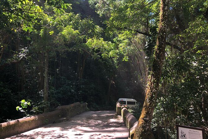 Wingfield Rainforest Hike St Kitts and Romney Manor Adventure - Value and Overall Impression