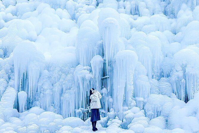 Winter Wonderland Healing Park and Gyeongju/Daegu Tour from Busan - Practical Details and Tips