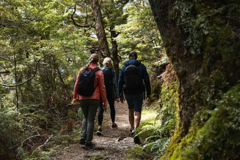 Wnaka: Heli Siberia - Helicopter Flight, Hike & Jet Boat - The Itinerary in Detail