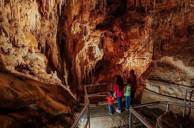 Wombeyan Caves: Fig Tree Cave Tour - Who Should Consider This Tour?
