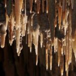 Wombeyan Caves: Mulwaree Cave tour - Exploring Wombeyan’s Mulwaree Cave: A Natural Masterpiece