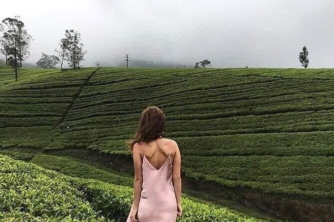 Wonderful Srilankan 14 Days Tours - Considerations for Travelers