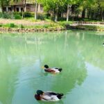 Wu Village Getaway Package with Hotel and Breakfast for 2 PAX - Analyzing the Value