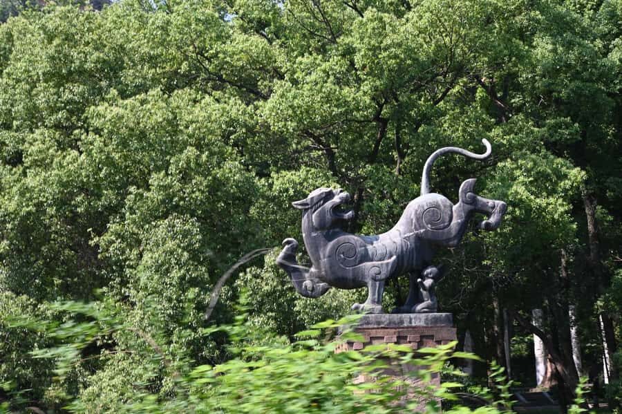 Wuhan Tianhe International Airport - Wuhan East Lake Moshan - What to Expect During the 5-Hour Tour