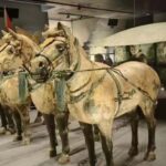 Xi'an: Private Layover Tour with Choice of Duration - A Closer Look at the Itinerary