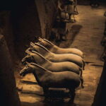 Xian Terra Cotta Warriors Ticket Only - The Journey to the Site and Entrance Process