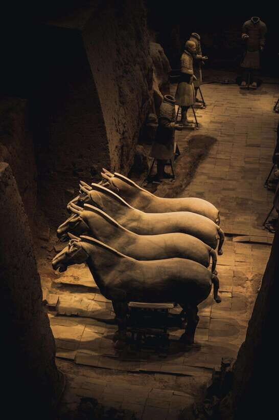 Xian Terra Cotta Warriors Ticket Only - The Journey to the Site and Entrance Process