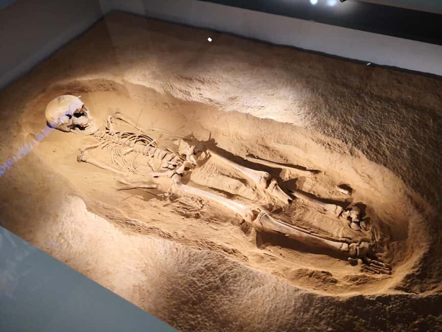 Xi'an: Terracotta Army & Shaanxi Archaeology Museum Day Trip - Why This Tour Offers Great Value