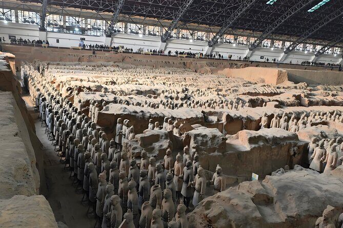 Xi'an: Terracotta Warriors All-Inclusive Bus Tour with Lunch - The Practicalities: Transportation, Group Size, and Value