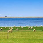 Xining: Qinghai Lake Private Day Tour with Bike Ride - Practical Details and Tips