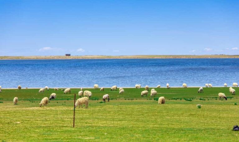Xining: Qinghai Lake Private Day Tour with Bike Ride - Practical Details and Tips