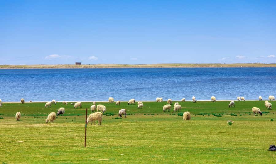 Xining: Qinghai Lake Private Day Tour with Bike Ride - Practical Details and Tips