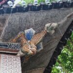 Xizhou City Walk: Architecture, Trade Culture & Local Belief - Practical Details: What Travelers Need to Know