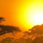 Yala Block 5: Private Morning or Evening Safari - A closer look at the experience