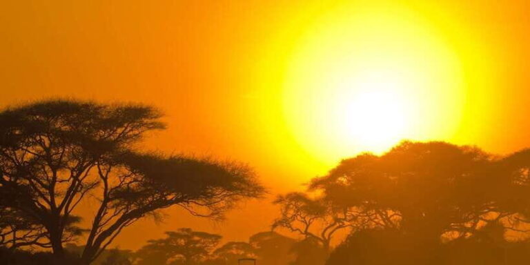 Yala Block 5: Private Morning or Evening Safari - A closer look at the experience