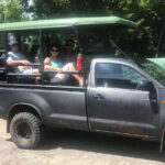 Yala National Park: Day Tour with Jeep Safari - Detailed Breakdown of the Itinerary