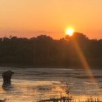 Yala Safari Half Day Tour - The Guide and Group Size