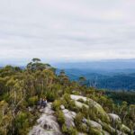 Yarra Valley: Seven Acre Rock Abseiling Adventure - The Overall Value and Experience