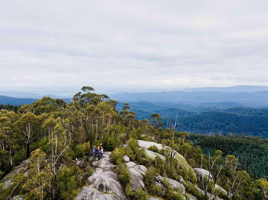 Yarra Valley: Seven Acre Rock Abseiling Adventure - The Overall Value and Experience