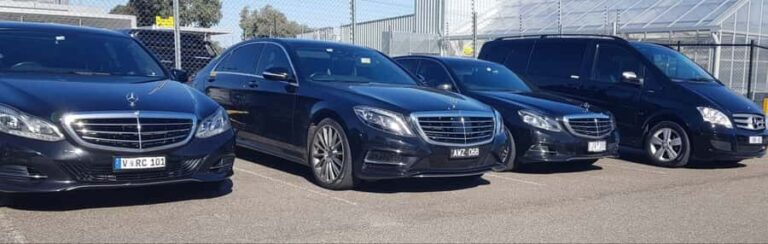 Yarra Valley Wineries Private Tour - Up to 14 travellers - A Detailed Breakdown of the Tour Experience