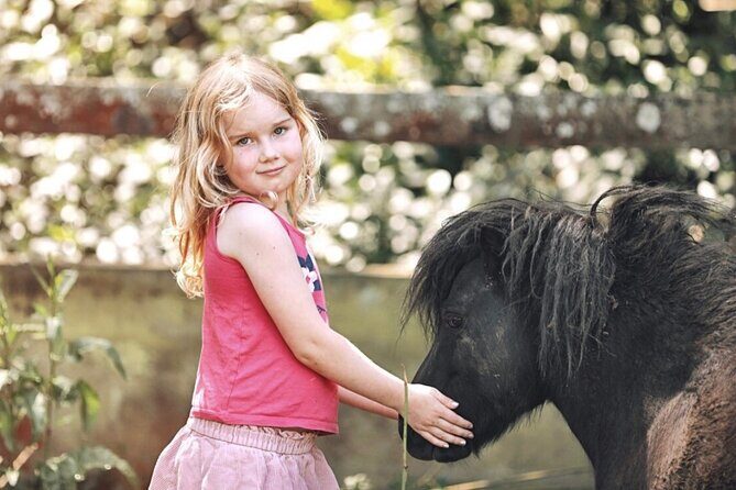 Yarramalong Valley Horse Farm Tours - Location and Convenience