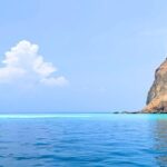 Yilan Day Tour Whale Watching Cruise and Animal Farm - Who is this tour perfect for?