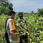 Yogyakarta: Cooking Class with Market Visit and Hotel Pickup - An In-Depth Look at the Experience