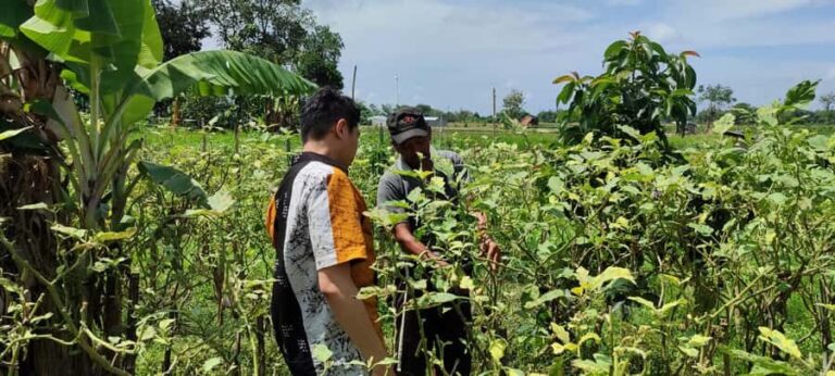 Yogyakarta: Cooking Class with Market Visit and Hotel Pickup - An In-Depth Look at the Experience