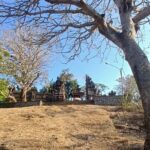 Yogyakarta : Honey moon by hire luxury vehicle - What You Can Expect During Your Day