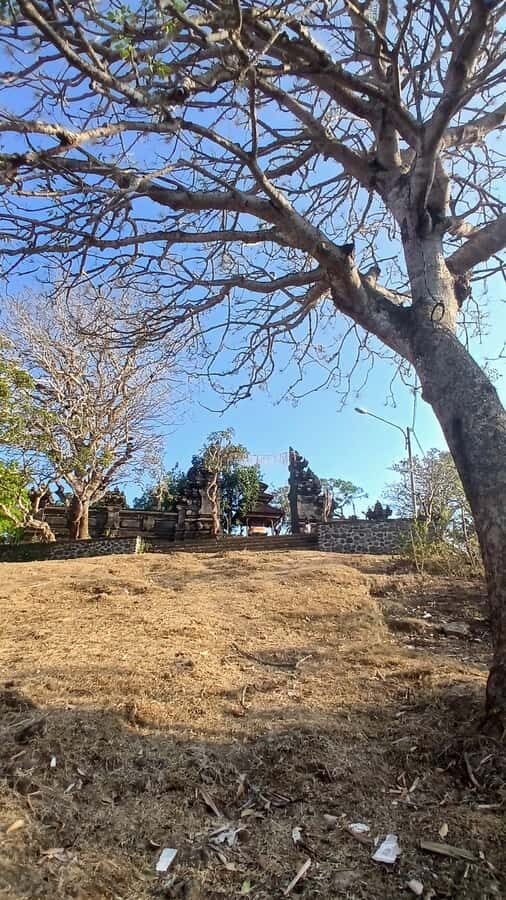 Yogyakarta : Honey moon by hire luxury vehicle - What You Can Expect During Your Day