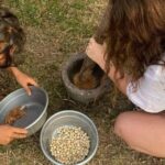 Yogyakarta: Incense and Lerak Soap Making Workshop - Who Should Consider This Experience?